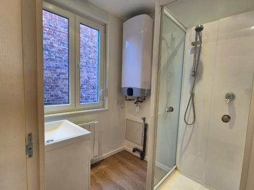 une salle de bain avec une douche, un lavabo et un miroir dans l'établissement Les Loges du Beffroi - L'azur, à Arras