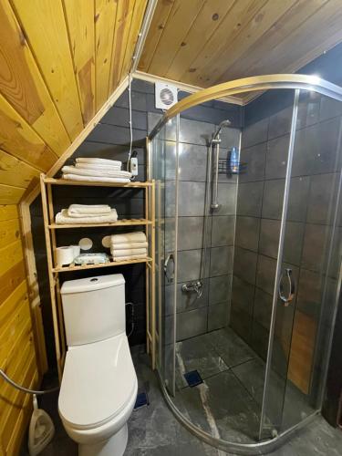 Bilik mandi di Trabzon bungalovv