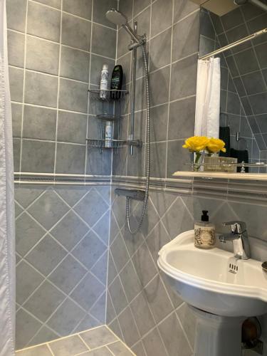a bathroom with a shower and a sink at B&B Österlens RosenTrädgård in Glemmingebro