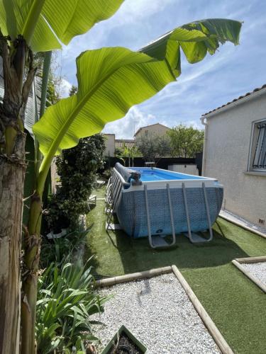 une piscine dans une cour avec un palmier dans l'établissement Chambre dans maison individuelle avec climatisation, à Saint-Jean-de-Védas