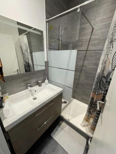 une salle de bain avec un lavabo et une douche dans l'établissement Chambre dans maison individuelle avec climatisation, à Saint-Jean-de-Védas