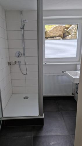 a bathroom with a shower and a sink at FEWO klein mit Garten in Feldberg