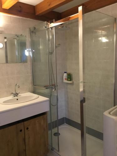 une salle de bain avec un lavabo et une douche dans l'établissement Park Village Océlandes, à Saint-Julien-en-Born