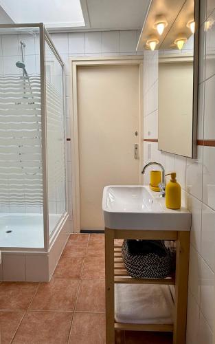 a bathroom with a sink and a shower at Japicx - Appartement in Leeuwarden