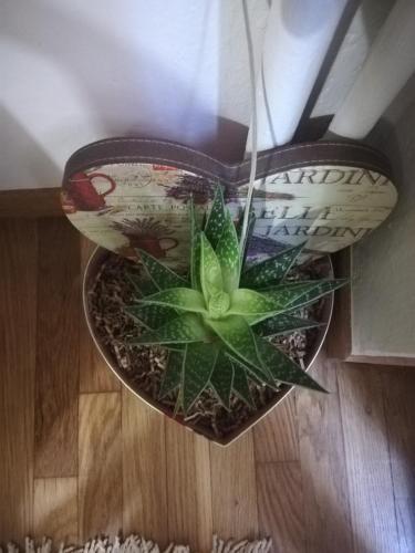 Apartment near Metro Attiki Athens