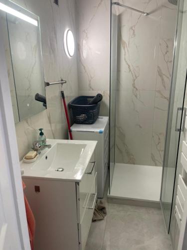 une salle de bain avec une douche, un lavabo et un miroir dans l'établissement Boetman 2, à Saint-Raphaël
