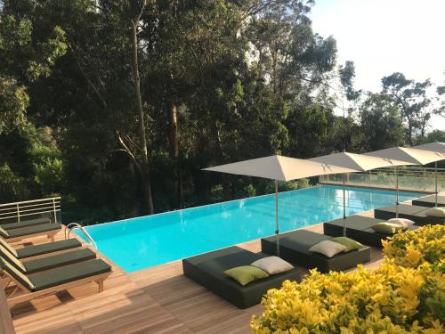 Kolam renang di atau dekat dengan Appartements Les résidences du port La Siesta
