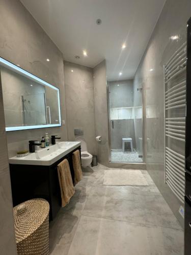 Luxurious 2 bedroom apartment, located in Avenue George V