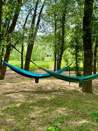 a hammock hanging from two trees in a forest at New! Trail Tamer | River Access | Mountain Views in Slade
