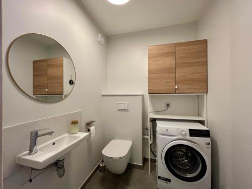 une salle de bain avec un lavabo et une machine à laver dans l'établissement Homency - Résidence Fermes de l'Alpe D101, à L'Alpe-d'Huez