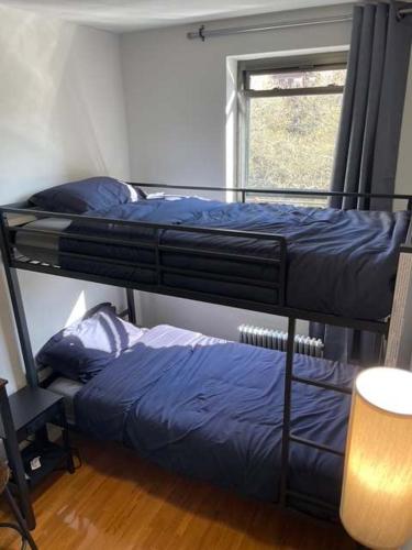 Dos literas en una habitación con ventana. en Chelsea Studio 5 - Shared Bathroom, en Nueva York