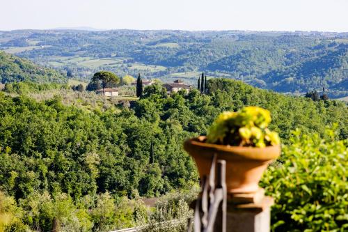 a plant in a pot sitting on top of a mountain at Villa Il Fedino in San Casciano in Val di Pesa