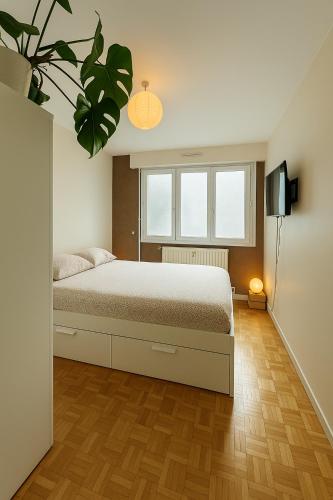une chambre avec un lit et une plante en pot dans l'établissement Appartement hyper centre avec Garage privé, au Mans