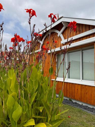 a house with red flowers in front of it at Villa Manolita Andernos les Bains avec jaccuzi in Andernos-les-Bains