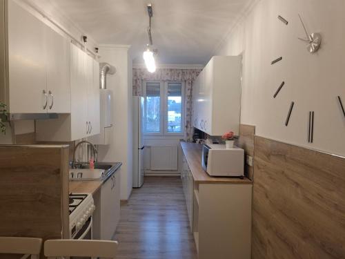 Kuchyň nebo kuchyňský kout v ubytování Fonyódi Centrum Apartman