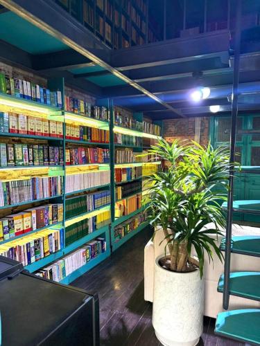 a library with shelves of books and a potted plant at Nhà sách Mão's homestay I in Hanoi