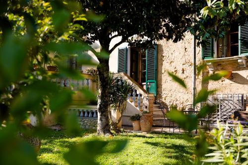 a tree in front of a house with green shutters at Villa Il Fedino in San Casciano in Val di Pesa
