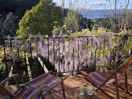 Spacious house - unobstructed view