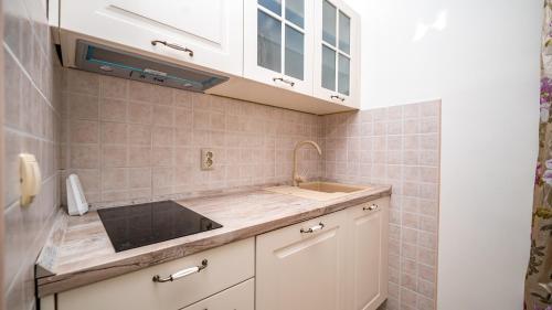 Kuchyň nebo kuchyňský kout v ubytování Villa Rustica Dalmatia