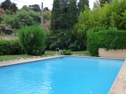 une grande piscine bleue dans une cour arborée dans l'établissement Villa Livia, à La Celle-sous-Gouzon