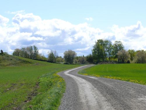 a dirt road in the middle of a field at Lugnåsberget Ekohotell in Mariestad