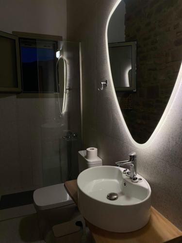 a bathroom with a sink and a mirror and a toilet at Penelopes Rhapsody Resort in Mesolongion