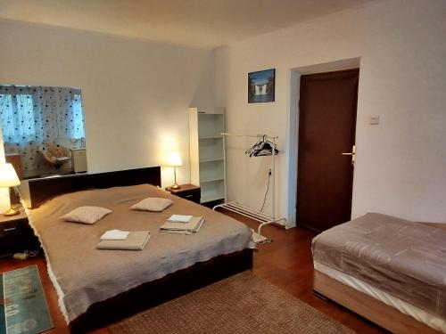 Postel nebo postele na pokoji v ubytování Central Victoriei Guesthouse