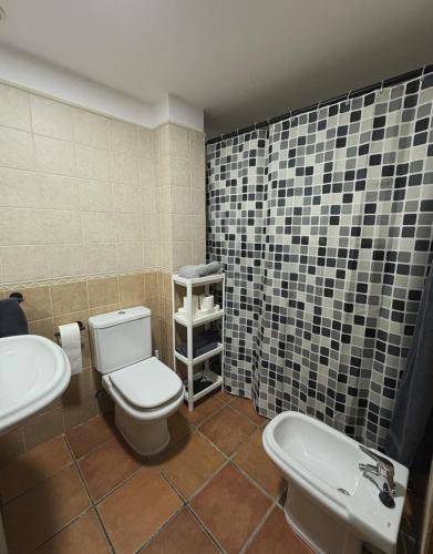 a bathroom with a toilet and a sink at Piso bajo con terraza in Mora de Rubielos