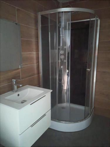 La salle de bains est pourvue d'une douche et d'un lavabo blanc. dans l'établissement Studio mezzanine Au pied des montagnes, à Le Pont-de-Claix
