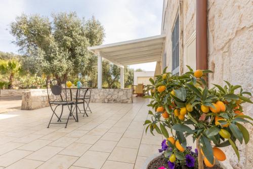 a patio with a plant with oranges on it at Villa Narkive in Carovigno