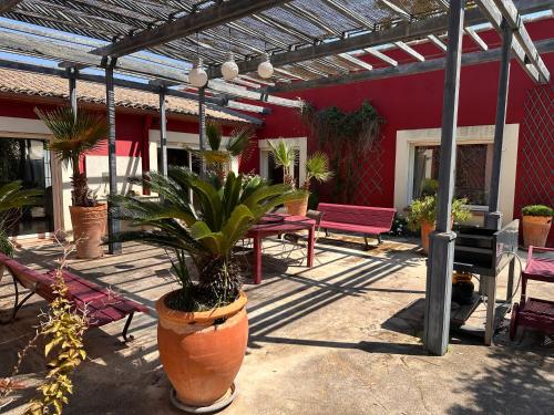un patio avec des plantes en pot et un bâtiment rouge dans l'établissement Belle demeure familiale, à Aigues-Mortes