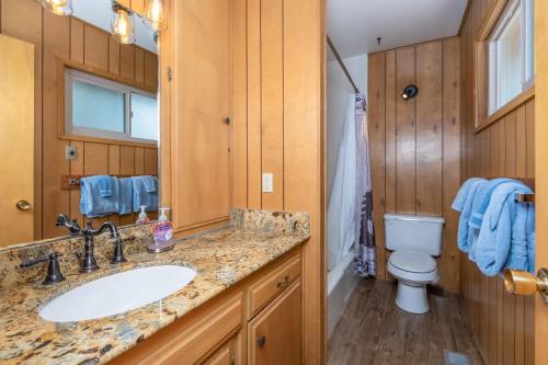 a bathroom with a sink and a toilet at Evergreen in Wawona