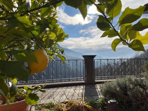 a view of a fence and an orange tree at Villa Oleandro in Casima