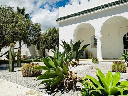 Κήπος έξω από το Villa Oasis