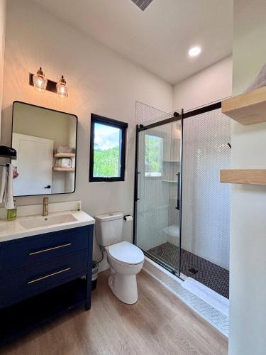 a bathroom with a shower and a toilet and a sink at Perfect Perch at Three Suns Cabins in Stanton
