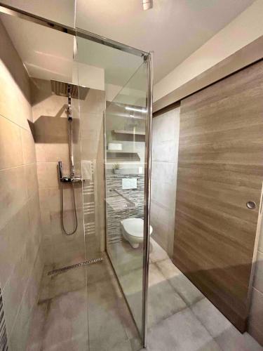 une salle de bain avec douche et toilettes dans l'établissement Villa d'Este - Studio 2 people - pool - 2 min to beach, à Antibes