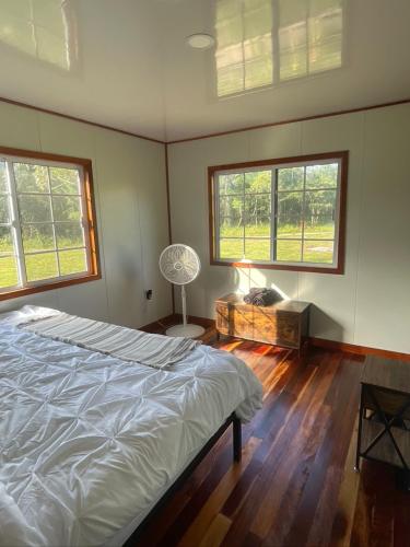 a bedroom with a bed and a desk and two windows at Palms & Paradise in Machaca Camp