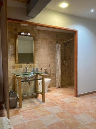 a bathroom with a sink and a toilet and a mirror at Au bon vivre in Vivès
