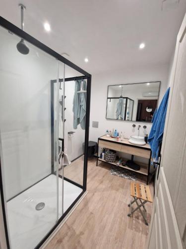 une salle de bain avec une douche, un lavabo et un miroir dans l'établissement Authentique maison de pêcheur, au Grau-du-Roi