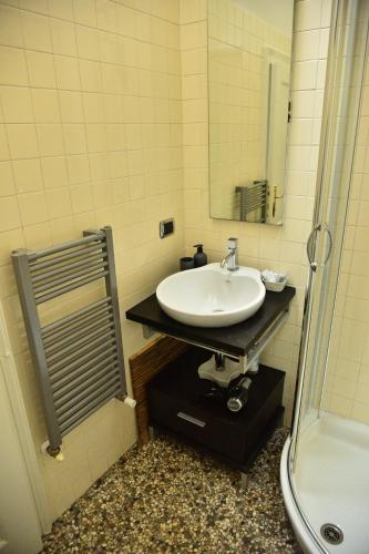 a bathroom with a sink and a shower at Liberty House in Turbigo