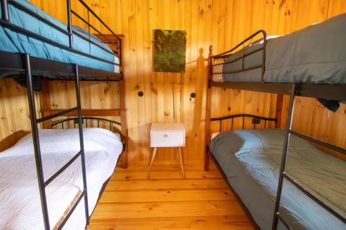 two bunk beds in a room with wooden walls at Altos de Pichilemu in Pichilemu