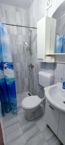 a bathroom with a toilet and a sink and a shower at Apartments Skadar Lake in Vranjina
