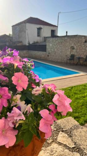 a pot of pink flowers next to a swimming pool at Skandalis Apartments with pool in Chorafakia
