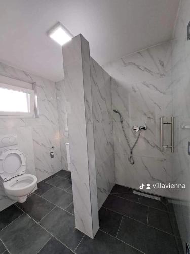 a bathroom with a toilet and a shower at Villa Vienna in Bužim