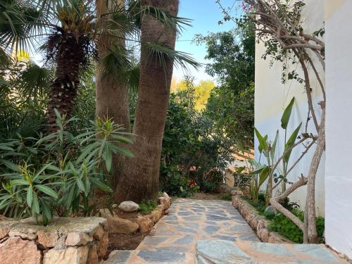 a garden with palm trees and a stone walkway at Villa Rosita Ibiza in Talamanca