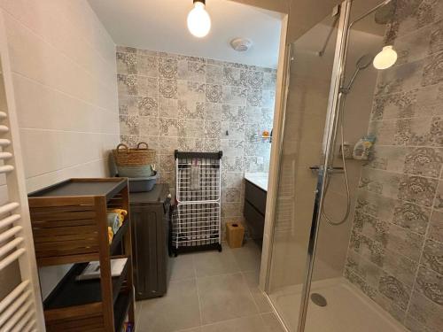 une salle de bain avec douche et lavabo dans l'établissement Panaréa Dec, à Valras-Plage