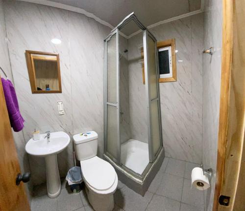 a bathroom with a shower and a toilet and a sink at Cabaña ROYAL 1, Las Trancas in Las Trancas