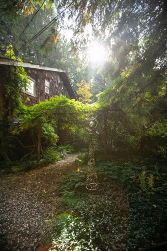 a camera sitting in the middle of a forest at Hidden Creek Hideaway in Roberts Creek
