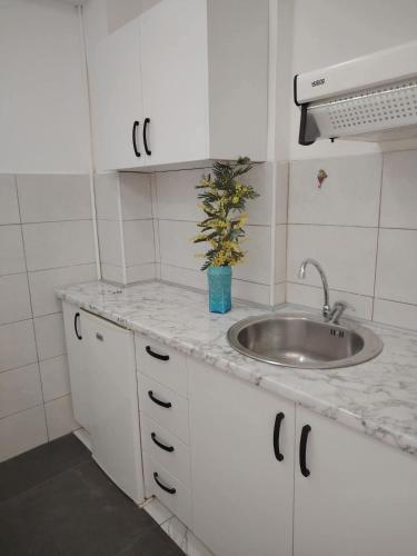 a kitchen with a sink and a potted plant at Apartmani Dream 3 in Šušanj