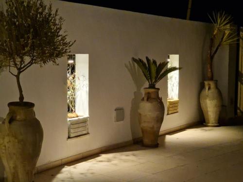 Φωτογραφία από το άλμπουμ του Villa Dar Aziza on a paradise island σε Er-Remla